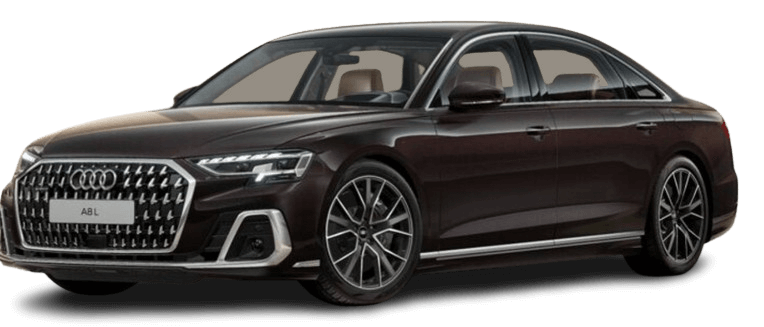 taxi transport Tesla Model 3